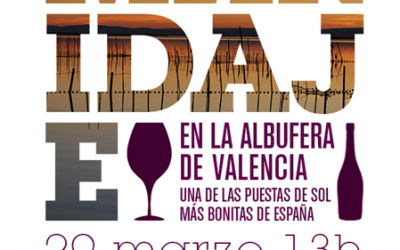 Cata de vinos en la Albufera de Valencia